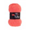 Příze Tulip 4013