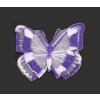 motýl fialova