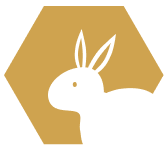 Netestované na zvieratách