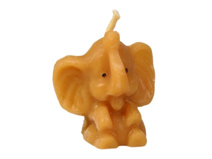 ccc25a081b798a7041775cd3ed0fc476 125 svicka slune velke