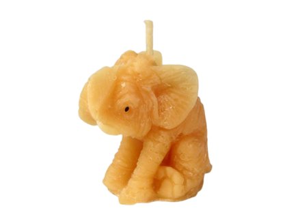 447da61e57fa1dd669d4c243fb5a25a7 75 svicka slon