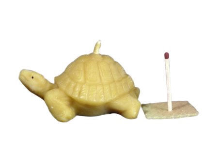 4830c356a1fe1503cf9e87640a7f8815 215 svicka zelva velka