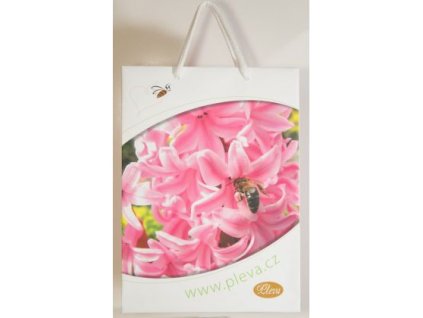 Taška papierová Pleva - Papierová 19x27 (Veľkosť Papierová 19x27)