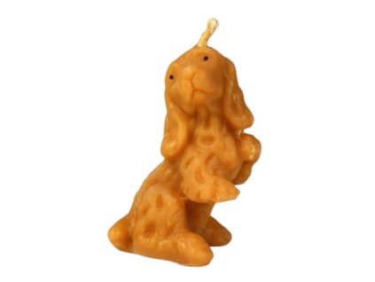 f3a3408efbe41c4cf5346ebb6662af4e 71 svicka pes kokr