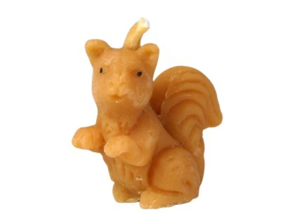 d76ffda8e7414f77140ee81c53c92dde 131 svicka veverka