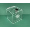 Plexi kasička, pokladnička s gravírem o rozměru 150x150x150mm + gravír a zámkem je vhodná pro Veřejné sbírky, charity, obce...