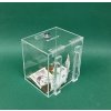 Plexi kasička, pokladnička s uchycením na zeď o rozměru 150x120x150mm s uchycením na zeď a zámkem je vhodná pro Veřejné sbírky, charity, obce...