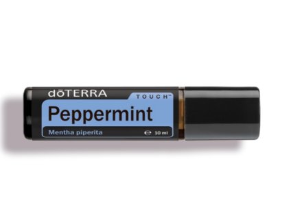 Mäta prieporná Touch (Peppermint Touch) Mentha piperita