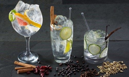 Gin s tonikem, komáři utočí