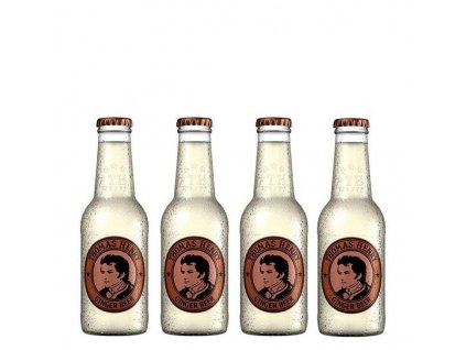 ginger beer 200ml