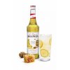 Monin Honey Medový sirup