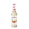 Monin Gum gumový sirup 0,7 l