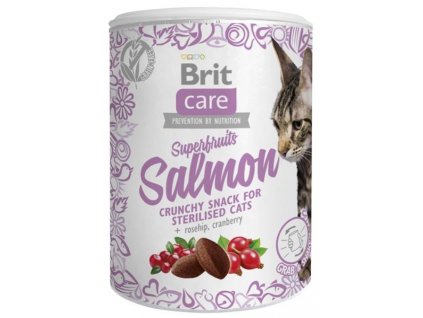 Brit Care Cat Snack Superfruits Salmon 100 g