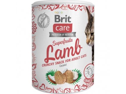 Brit Care Cat Snack Superfruits Lamb 100 g