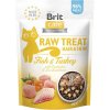 Brit Raw Treat Cat Hair & Skin 40 g