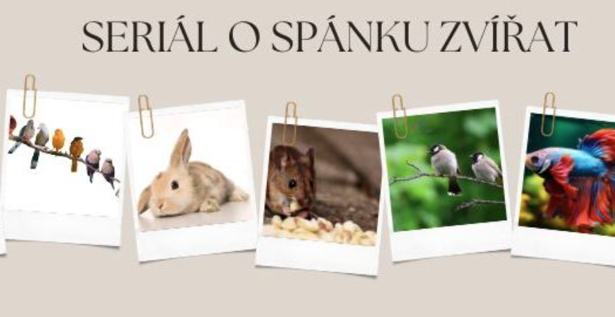 Seriál o spánku zvířat pokračuje!