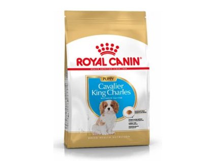 Royal Canin Breed Kavalír King Charles Puppy 1,5kg