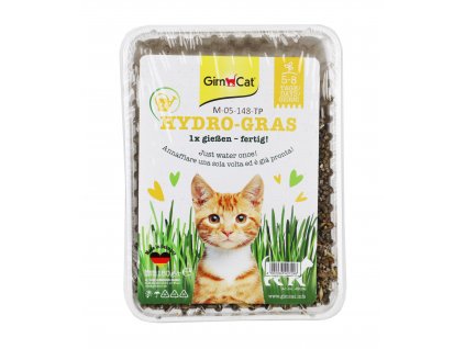 gimpet cat hy grass 1