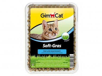 gimpet soft grass 100g