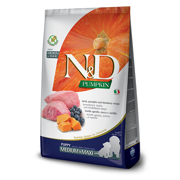 N&D - Pumpkin DOG Puppy M/L Lamb & Blueberry - 12kg