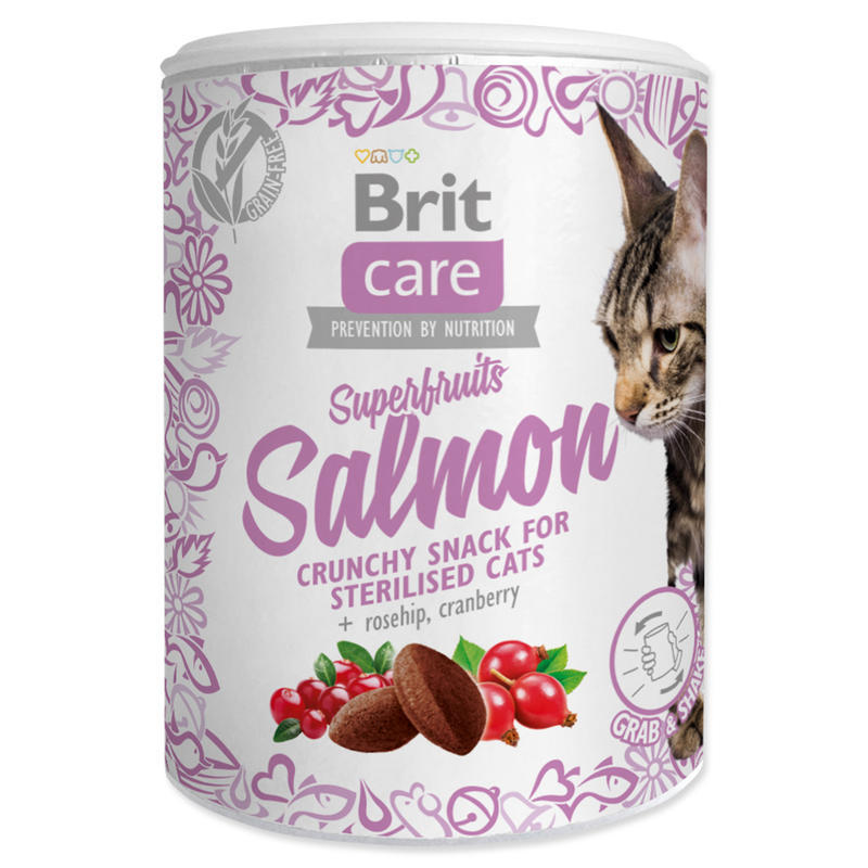 Brit Care Cat - Snack Superfruits Salmon - 100g