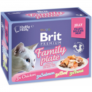 Brit Premium Cat - D Fillets in Jelly Family Plate - 12x85g