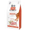 Brit Cat Indoor