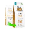 Brit care Senior&Light Salmon grain free I