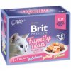 brit premium cat d fillets in jelly family plate 1020g