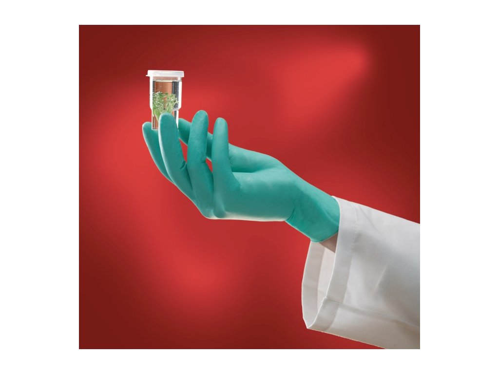 Jednorazové rukavice Microflex NeoTouch® 25-101 Neoprén EN 374 PPE kategória III 100 kusov / krabica ANSELL (Farba Veľkosť 6,5-7 svetlozelená, Veľkosť Neoprén EN 374 Osobné ochranné prostriedky kategórie III 100 kusov/krabica)