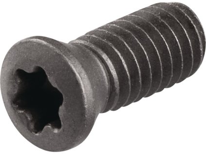 Upínacia skrutka  WS0410 Veľkosť T15  (Farba WS0410 Veľkosť T15)