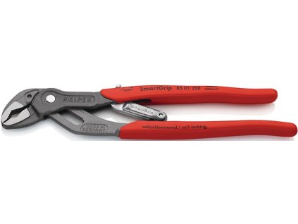 Kliešte na vodné čerpadlá SmartGrip® Dĺžka 250 mm Šírka upnutia 10-36 mm sivá atramentovaná leštená (Farba Dĺžka 250 mm Šírka upnutia 10-36 mm, Veľkosť sivá atramentovaná leštená)