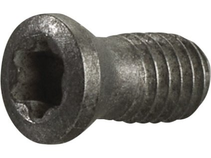 Upínacia skrutka veľkosti T15 TECWERK (Farba Veľkosť T15)