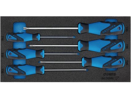 Modul na náradie 1500 CT1-2163 TX 6-dielny modul 1/3 Skrutkovač TORX (Farba 6-dielny modul 1/3, Veľkosť Skrutkovač TORX)