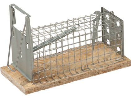 Pasce na myši (Farba Živá pasca, Veľkosť 95 x 50 mm)