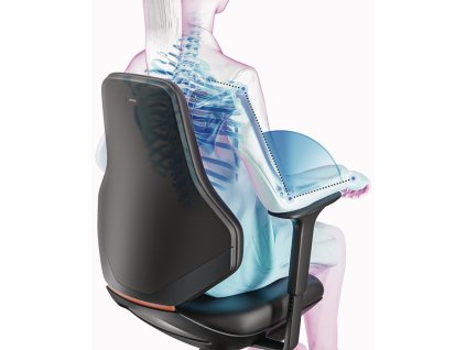 Podrúčky (Farba vhodné pre priemyselnú otočnú stoličku, Veľkosť Texon Multifunkčný čierny)