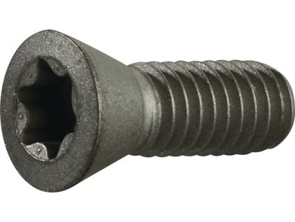 Upínacia skrutka  Veľkosť T20 pre veľkosť doštičky TCMT 16/SCMT 12 (Farba veľkosť T20, Veľkosť pre veľkosť doštičky TCMT 16/SCMT 12)