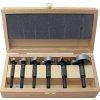 Súprava forstnerových bitov Typ 0317 5-dielna Ø 15, 20, 25, 30, 35 mm (Farba 5-dielny, Veľkosť Ø 15, 20, 25, 30, 35 mm)