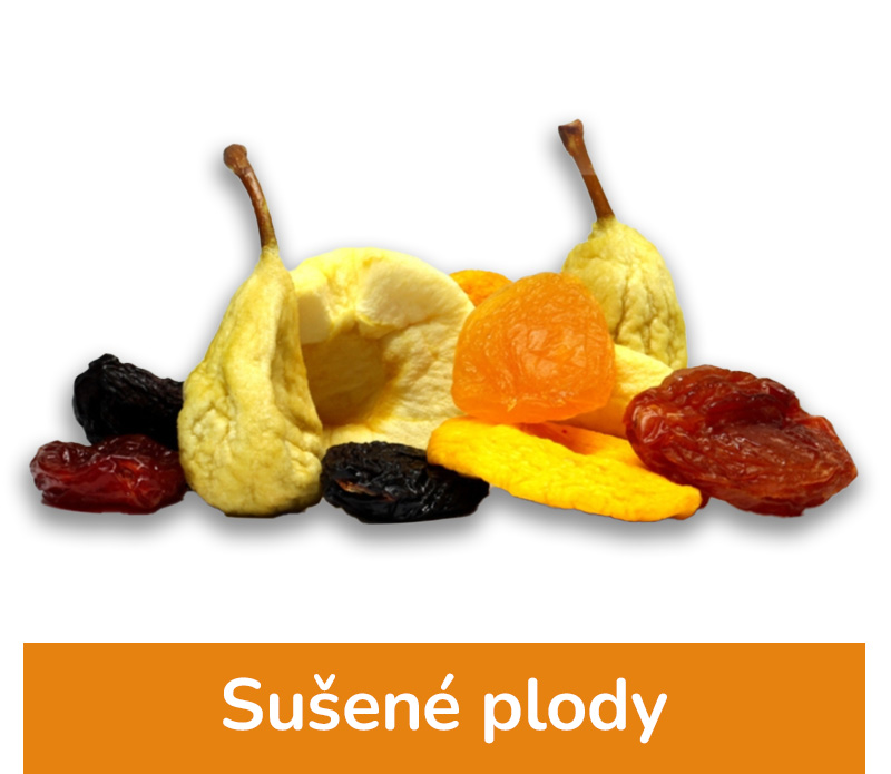 Sušené plody