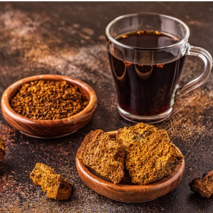 Chaga (Čaga) - kapsle extrakt 20 % Polysacharidů