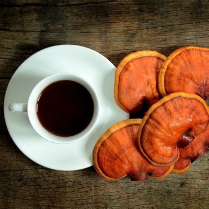 Reishi (Lesklokorka lesklá) - kapsle extrakt 30 % Polysacharidů