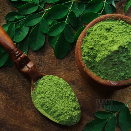 Moringa - prášek z listů
