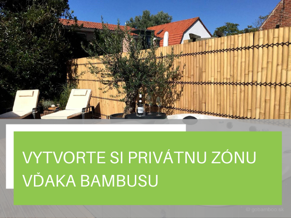 Vytvorte si privátnu zónu vďaka bambusu