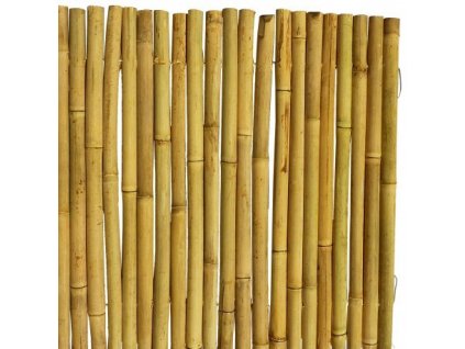 56061 pletivo bambooflex 2 0x3m hnede