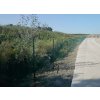 4101 7 pletivo klasik pvc zelene 1 25 x 15 m 53 x 53 2 5 mm