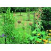 ZVÁRANÉ PLETIVO PANTANET® FAMILY - ZELENÉ, 2.03 x 25 m / 100 x 50 / 2.5 mm