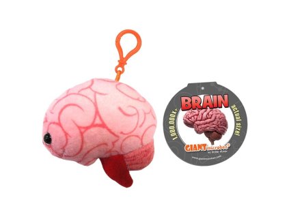 gmus kc 0099 brain new tag