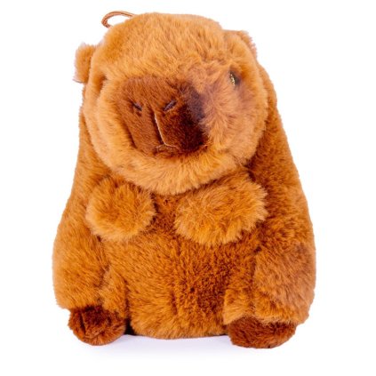 Snímka obrazovky 2025 11 05 133453