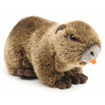 plysova nutria authentic edition