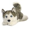Plyšový Husky ležiaci - Miyoni - 28 cm